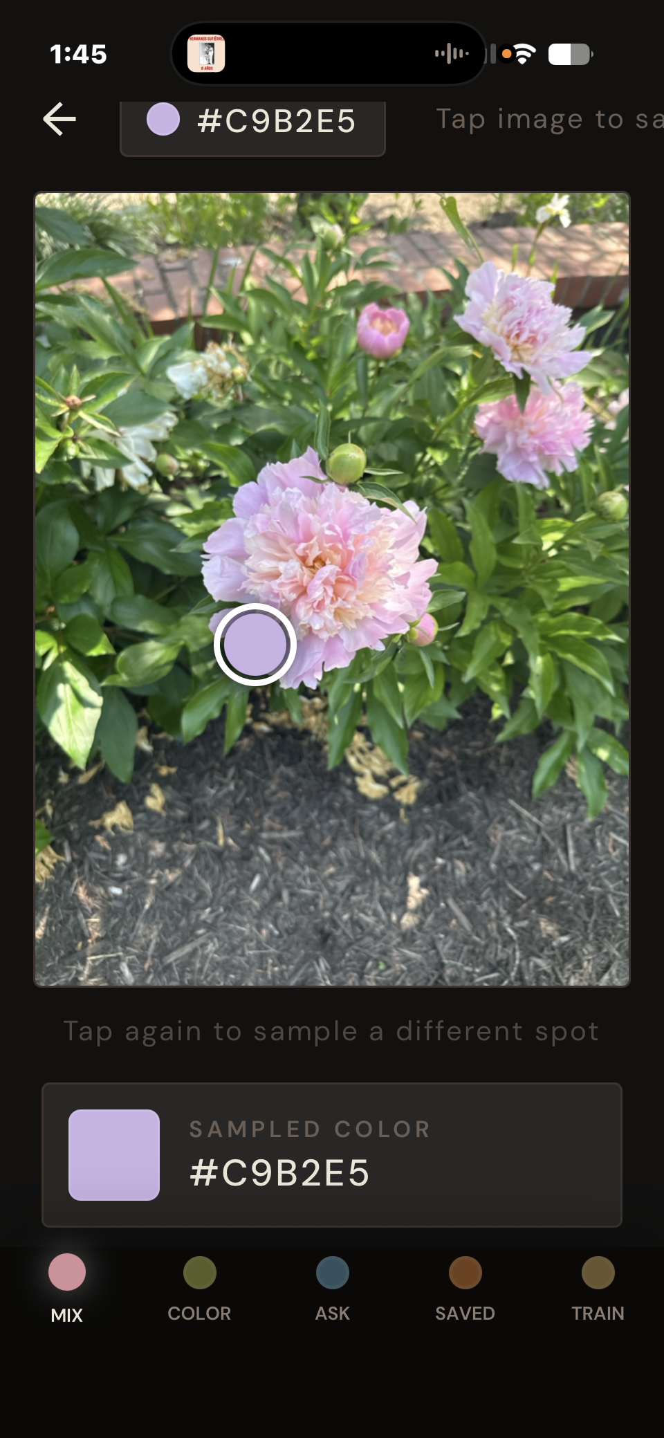 Sampling a color from a photograph in Impasto.