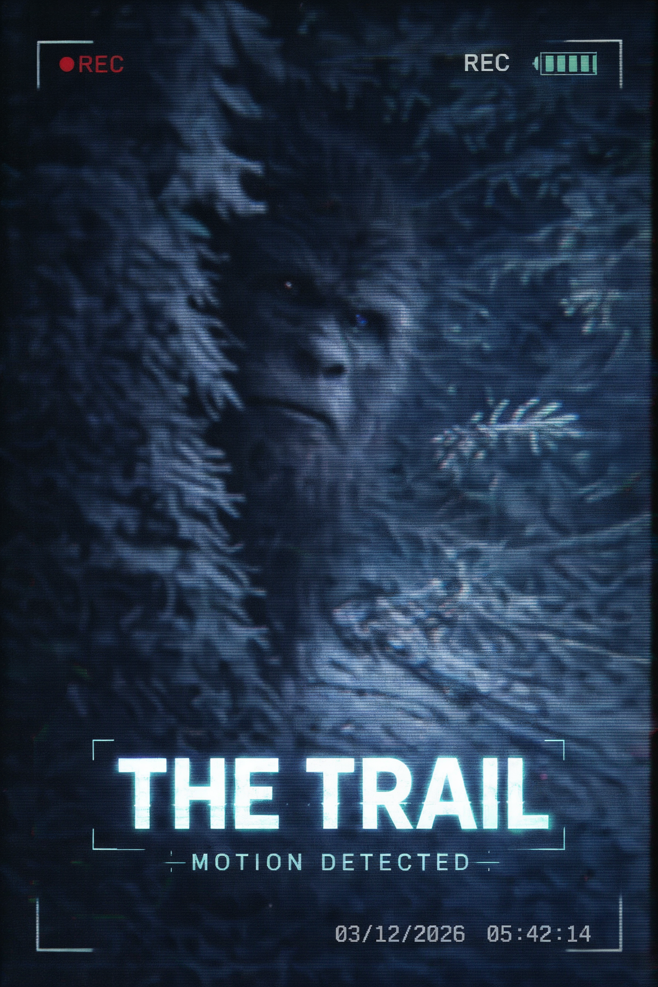 The Trail poster